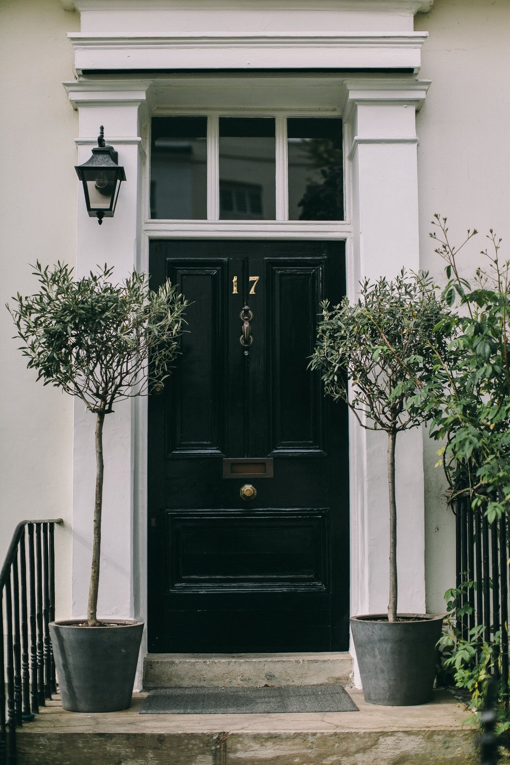 Modern entrance apartment door 